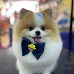 559145139 18056406551563241 6344842573657097258 n