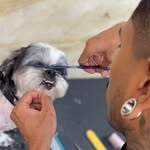 561976603 18080238977005627 5914810911803834807 n