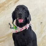 579688227 18330780130237830 5365037606572669536 n