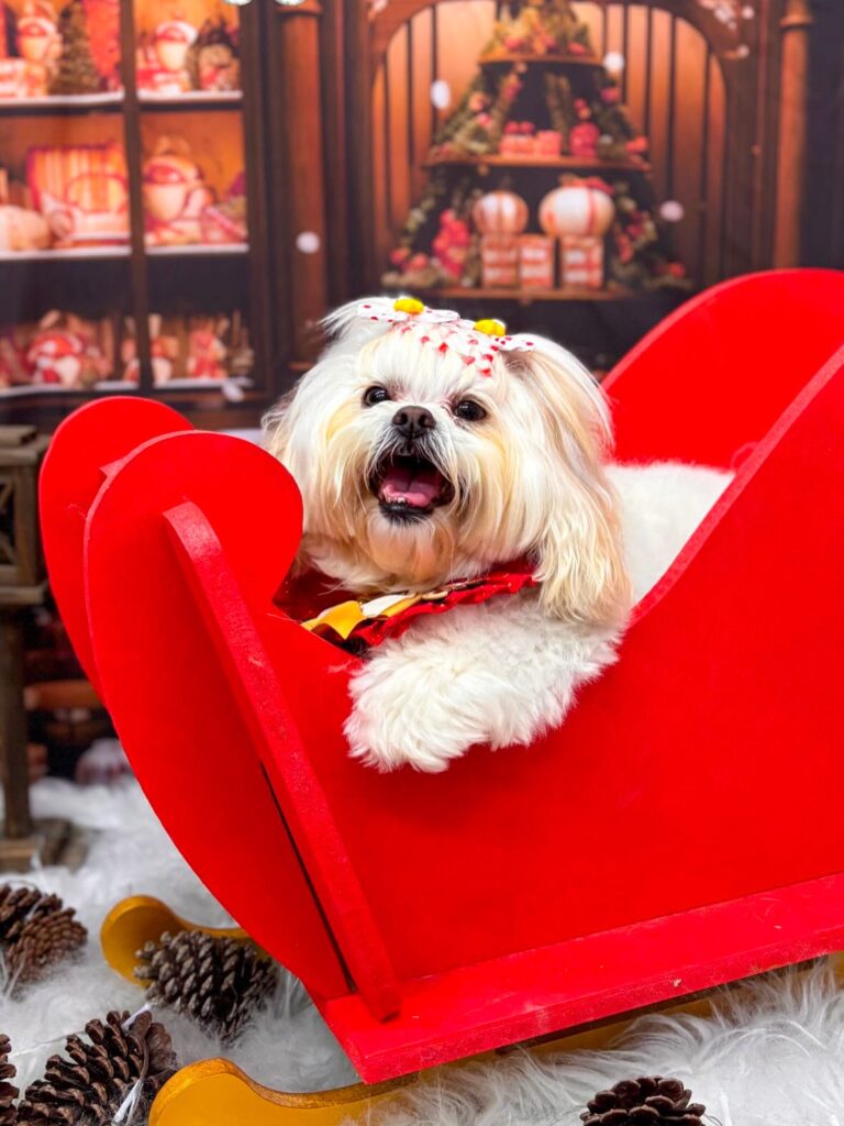 588319746 18552855622033489 3333678482197083021 n