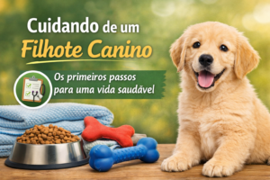 Cuidando bem de um filhote