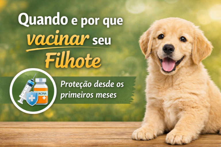 vacinação cão